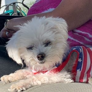 Meet your Posher, Alaina